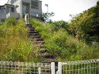 現場調査・諸々準備_f0031037_18111334.jpg
