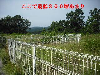 現場調査・諸々準備_f0031037_1895358.jpg