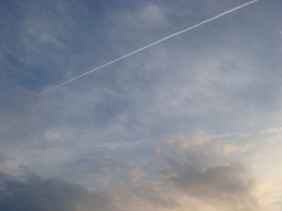 b0169238_20533954.jpg