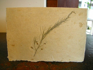 b0132444_16452998.jpg