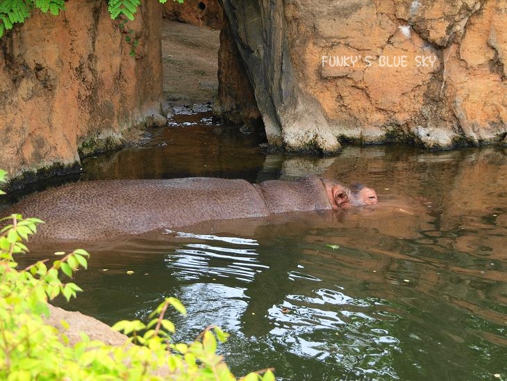 ZOO♪　【前編（？）】_c0145250_9542836.jpg