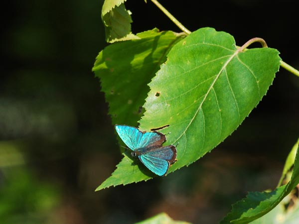 c0045352_17122283.jpg
