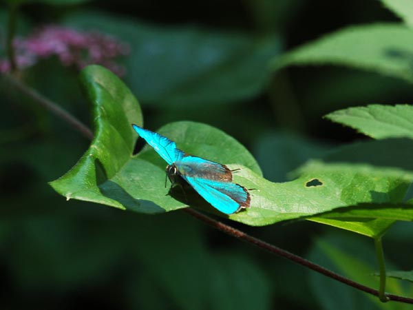 c0045352_17123727.jpg