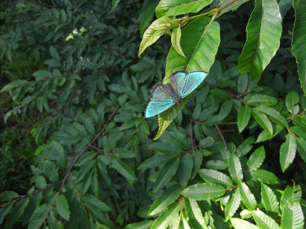 c0045352_1712635.jpg
