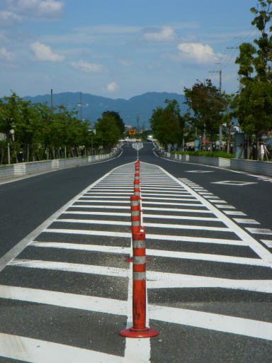 斑鳩（いかるが）散歩写真（Ⅰ）～夏の組写真編_c0191967_19455366.jpg