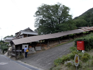 f0045982_23261092.jpg