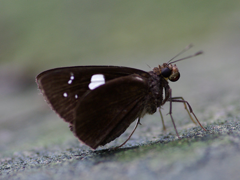 f0204094_1125779.jpg