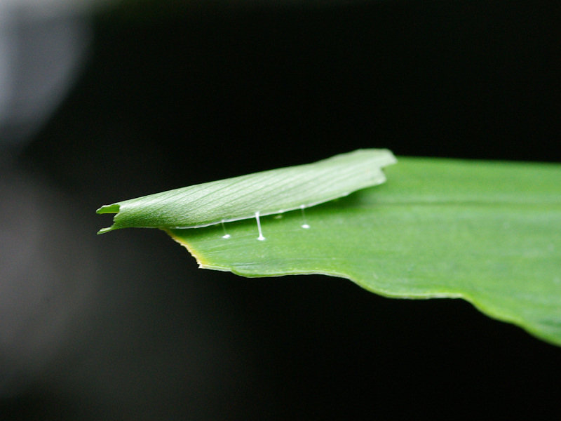 f0204094_11271225.jpg
