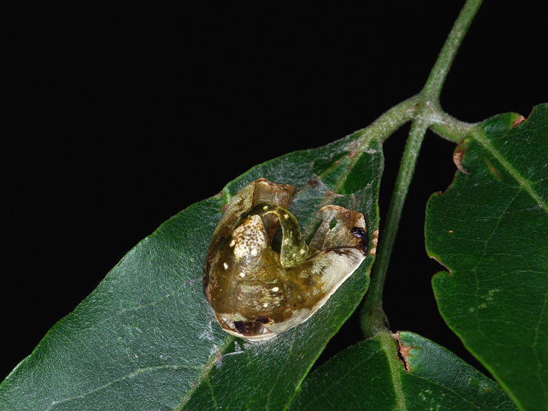 f0204094_115720.jpg