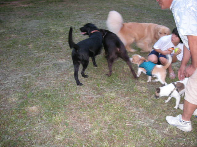 e0130299_07782.jpg