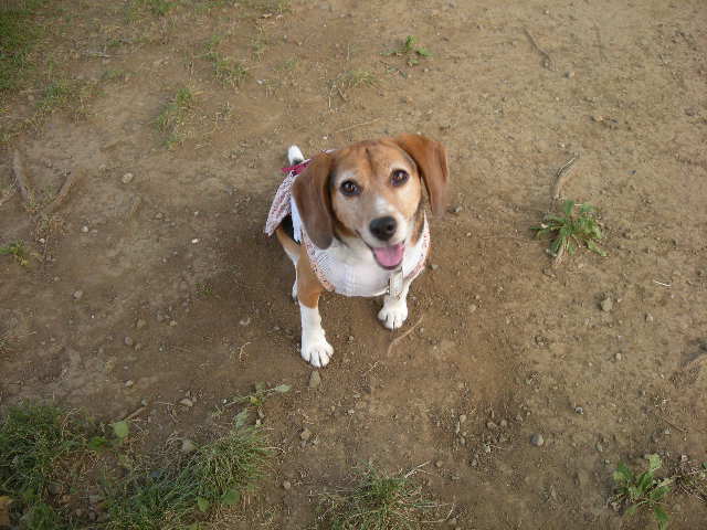 e0130299_09091.jpg