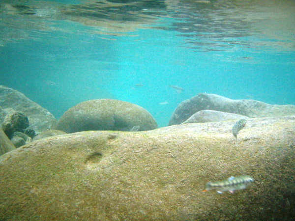 a0097006_2325664.jpg