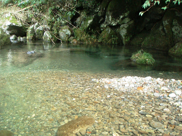 a0097006_23261146.jpg