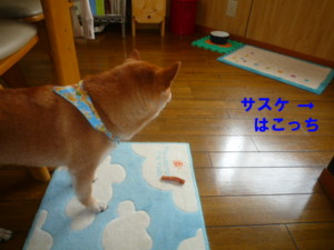 e0131506_17342012.jpg