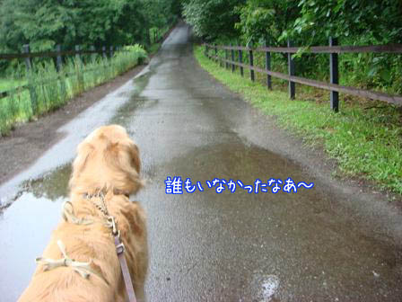 f0064906_183801.jpg
