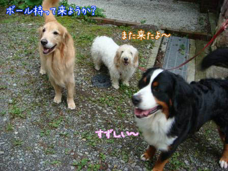 f0064906_18573866.jpg