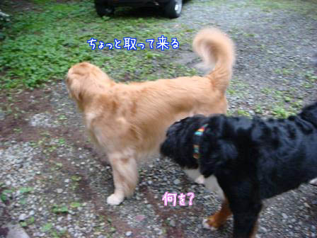 f0064906_18584571.jpg