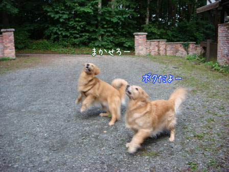 f0064906_1984824.jpg