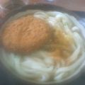 今日のうどん_b0005814_20451999.jpg