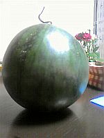 e0114015_1344896.jpg