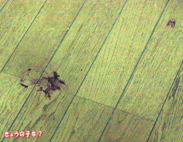 f0203423_16251014.jpg