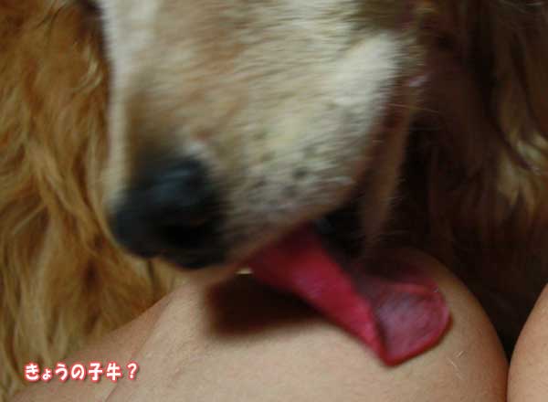 f0203423_16252816.jpg