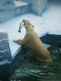 c0188928_23583376.gif