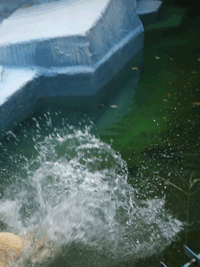 c0188928_2358645.gif