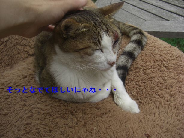 e0142430_10997.jpg