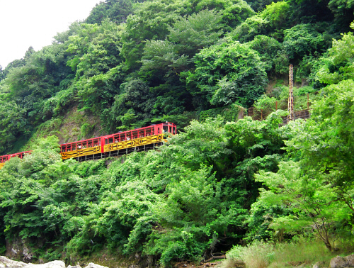 d0017632_15341144.jpg
