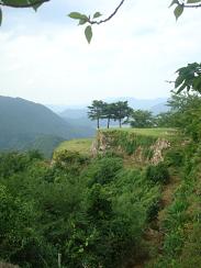 b0110035_17375687.jpg