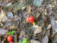 f0161535_23102039.jpg