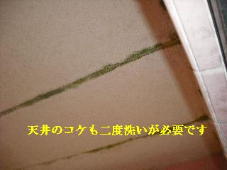 f0031037_19495655.jpg