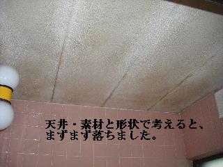 防虫作業・浴室関連作業_f0031037_19514977.jpg