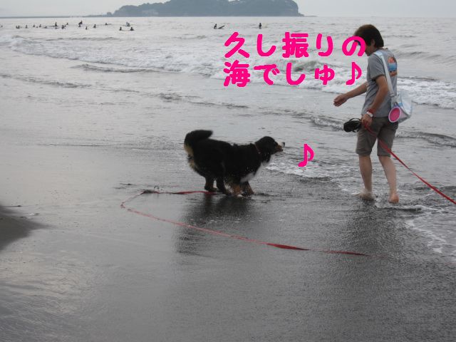 a0108146_131579.jpg