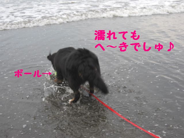 a0108146_1331351.jpg