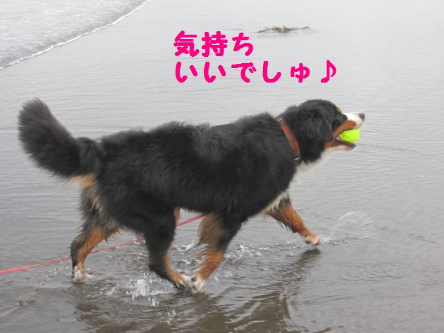 a0108146_134460.jpg
