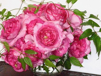 a0089450_2154215.jpg