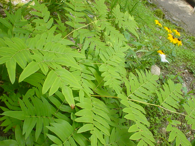 f0173054_1872380.jpg