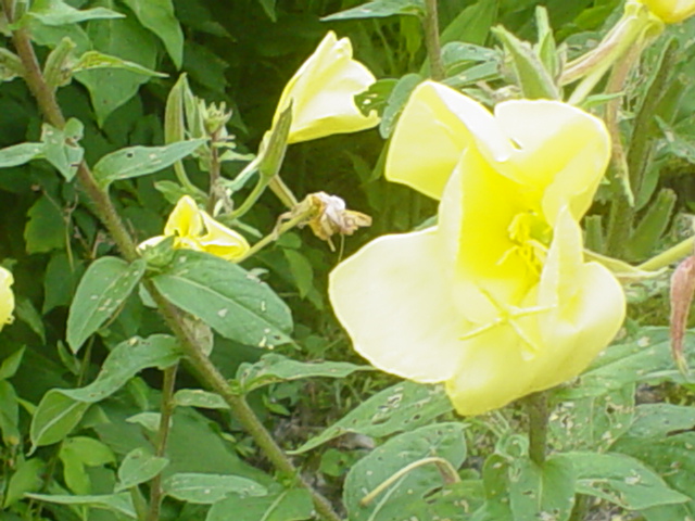 f0173054_188588.jpg