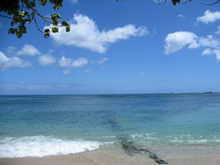 b0146659_195611.jpg