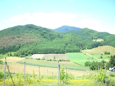 c0198862_884061.jpg