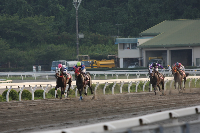 2009年7月18日（土） 高知競馬 9R アサガオ特別 D1 選抜馬_a0077663_23395144.jpg