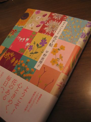 のぞき見ダブリン 平野恵理子さんの個展 North To South