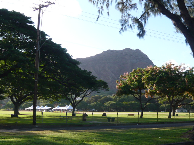 c0100865_44621.jpg