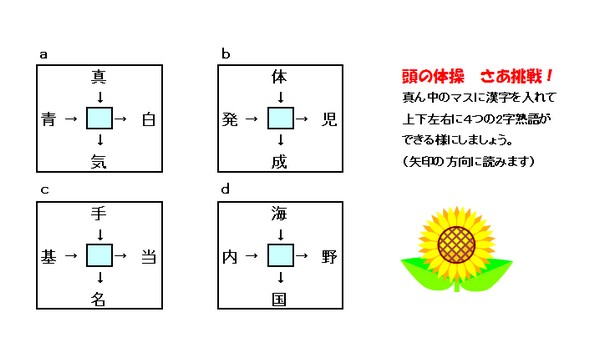 百日草は好きな花♪_e0085772_1025335.jpg