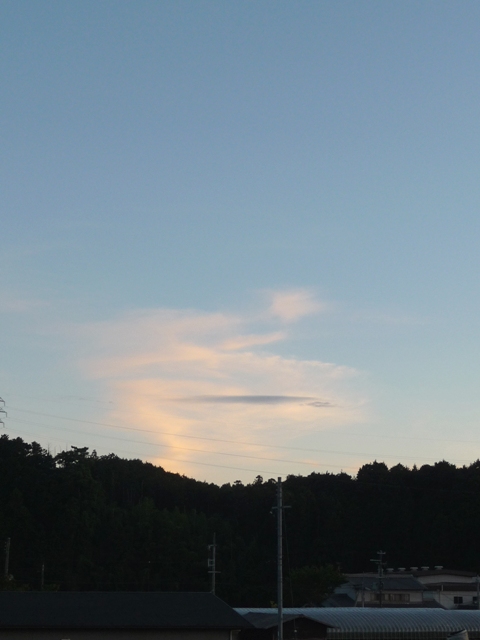 d0042474_239328.jpg