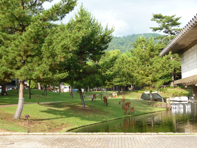 d0042474_2562364.jpg