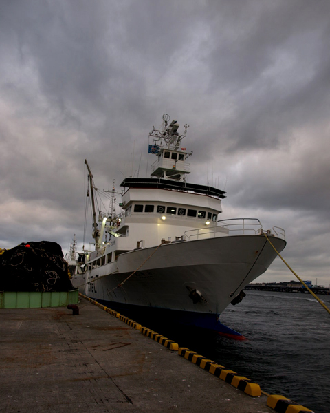 d0118876_02327.jpg
