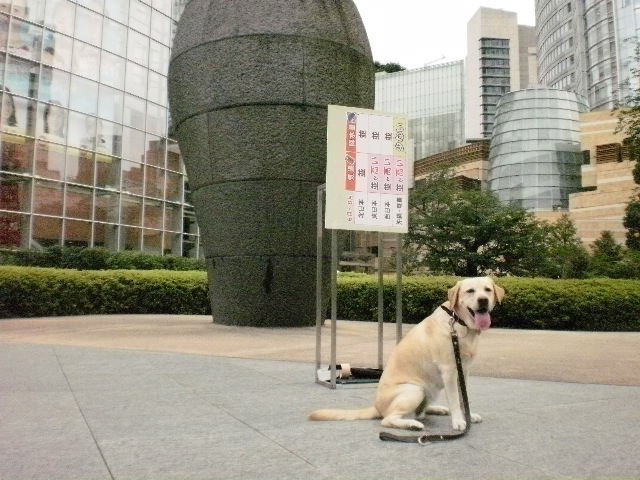 f0052277_214310.jpg